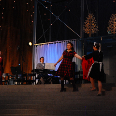 JannenMatkassa_ItsenaisyyspaivaJuhla_Verkatehdas12-2014